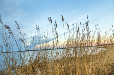 Usedom adasında durgun manzaraya 