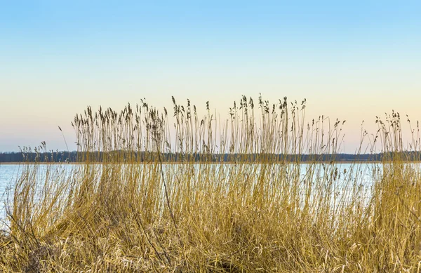 Zapadákov krajina na ostrově Usedom — Stock fotografie