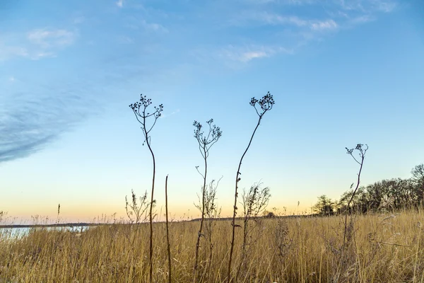Paesaggio retrostante all'isola di Usedom — Foto Stock
