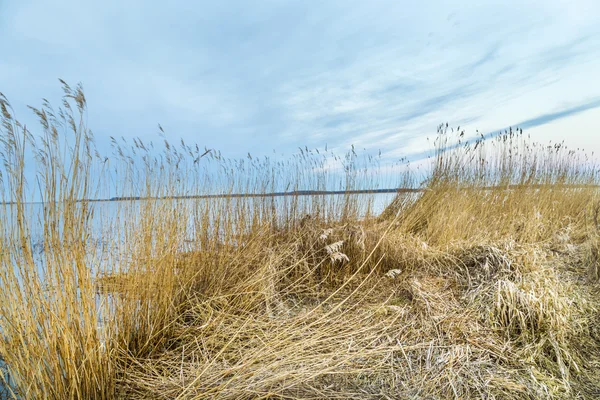 Zaścianka krajobraz na wyspie Uznam — Zdjęcie stockowe