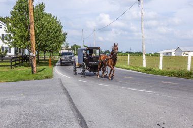 güzel saskatchewan manzara karşısında bir sepeti çekerek at