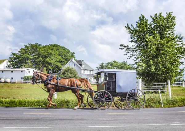 A horse pulling a cart across a beautiful Saskatchewan landscape — Stock Photo, Image