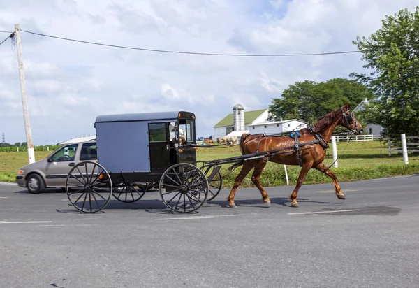 En häst som drar en vagn över ett vackert saskatchewan landskap — Stockfoto