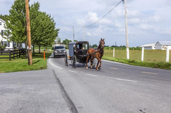 Um cavalo puxando um carrinho através de uma bela paisagem de Saskatchewan — Fotografia de Stock