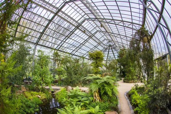 Hermosa exposición tropical en Palmengarten en Frankfurt — Foto de Stock