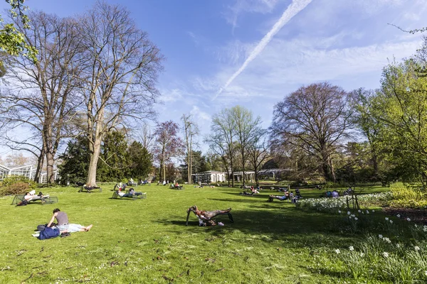 People enjoy relaxing in the outdoor area of the  Palmengarten i — Stock Photo, Image