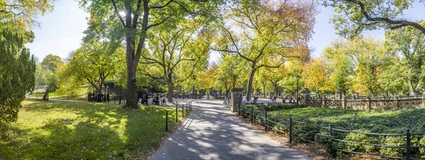 Osób korzystających, chodzenie w Central Park — Zdjęcie stockowe