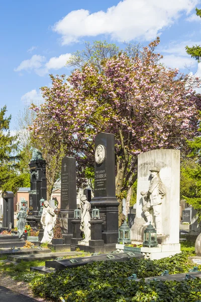 Vista sul Cimitero Centrale di Vienna, il luogo dove personaggi famosi — Foto Stock