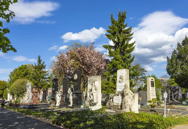 Vista al cementerio central de Viena, el lugar donde la gente famosa — Foto de Stock