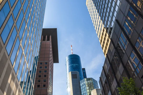 Pohled na panorama Frankfurtu nad Mohanem — Stock fotografie