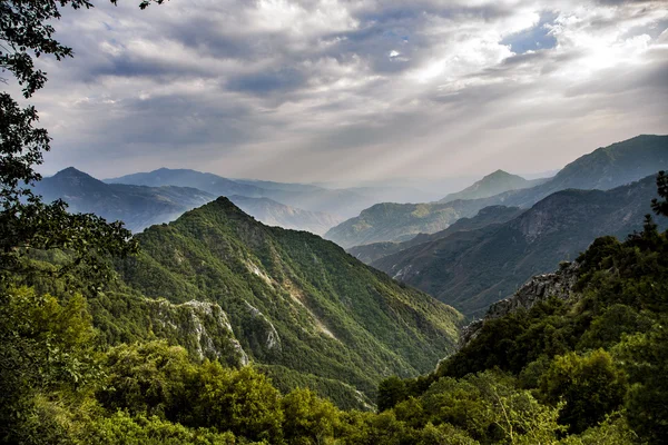 Vista para a floresta do parque nacional de Sequoia — Fotografia de Stock