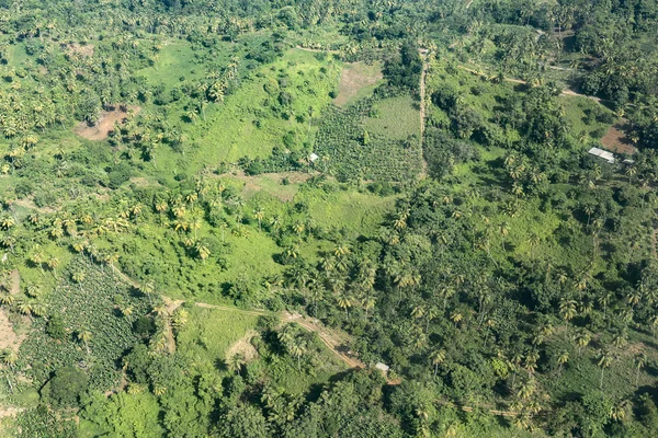 Luchtfoto van de jungle, de kust en de Oceaan in Dominica — Stockfoto