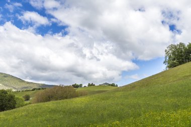 le Vernet col Mirabeau adlı yakınındaki çayır