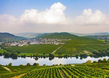 üzüm bağları ile ünlü moselle sinuosity