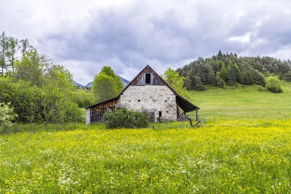 Meadow with hut near le Vernet at col Mirabeau — Stock Photo, Image