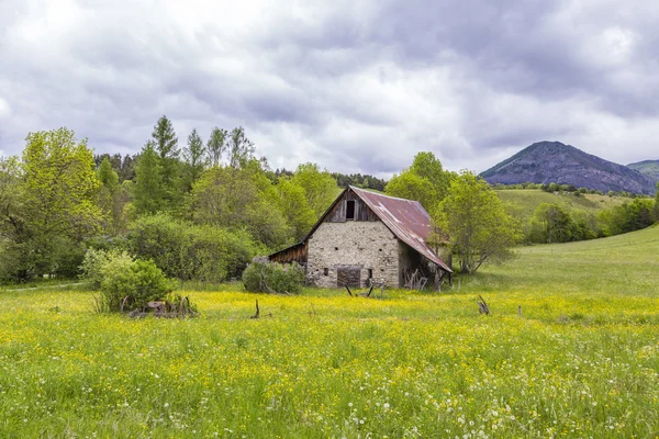 Meadow with hut near le Vernet at col Mirabeau — Stock Photo, Image