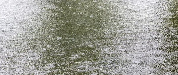 Padrão de gotas de chuva — Fotografia de Stock