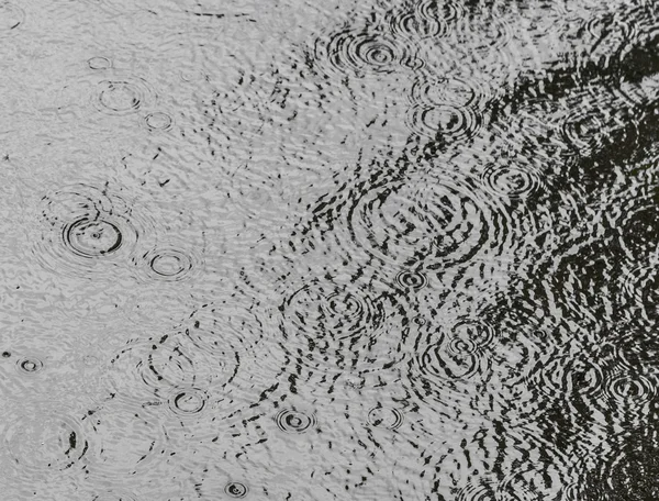 Pattern of raindrops — Stock Photo, Image