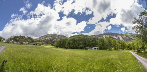 Meadow near le Vernet at col Mariaud — Stock Photo, Image