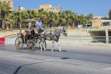 genel bir sokakta Valetta at Koç rider