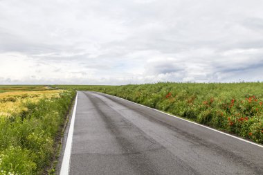 yol kırsal Eifel peyzaj alanları ile