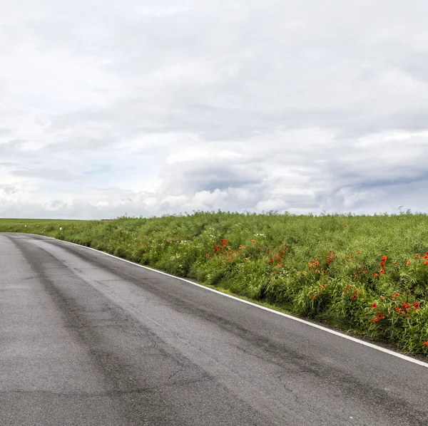 Road in rural Eifel landscape with fields — Stock Photo, Image