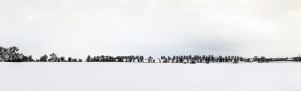 Arbres blancs glacés dans le paysage enneigé — Photo