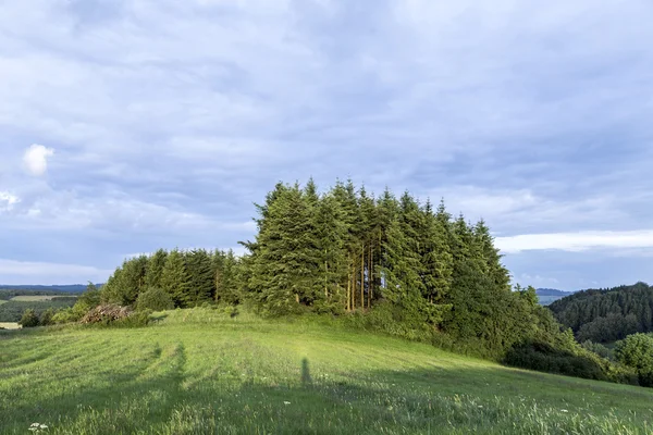 Rural Eifel landscape with forest and green meadow — Stock Photo, Image