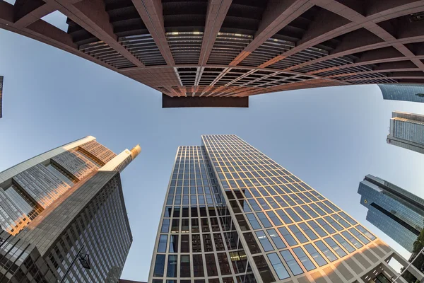 Perspectief van wolkenkrabbers in Frankfurt am Main — Stockfoto