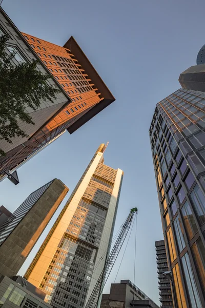 Perspectiva de arranha-céus em Frankfurt am Main — Fotografia de Stock