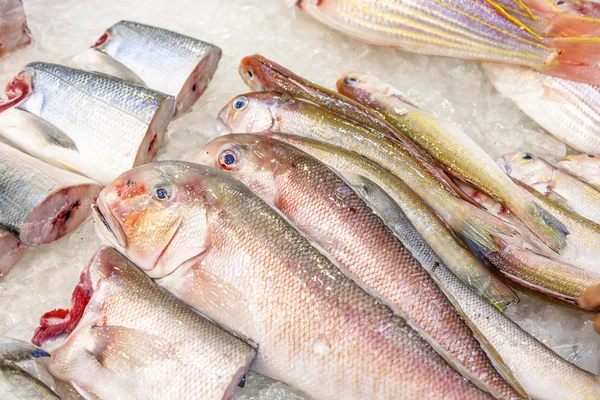 Färska fiskar erbjuds i fiskmarknaden — Stockfoto