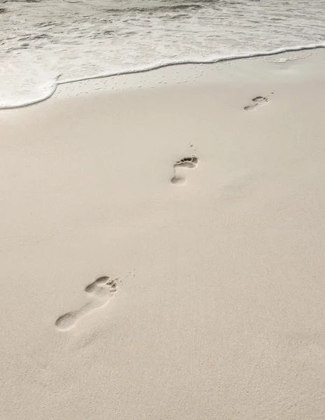 Menselijke volwassen voetafdruk op het strand — Stockfoto