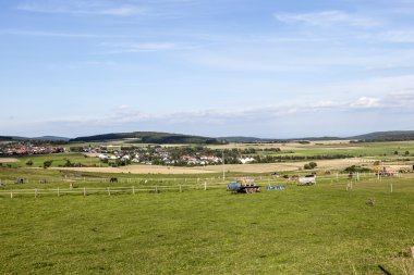 hayvanlar üzerinde çayır ile kırsal manzara