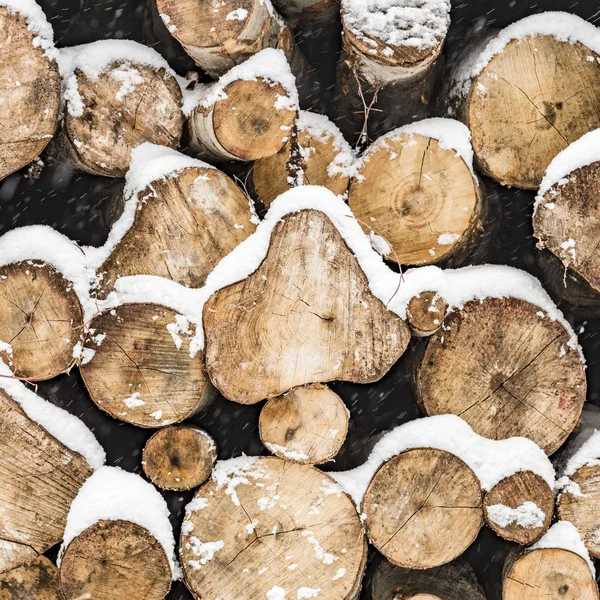 Pila de troncos en invierno con marcas — Foto de Stock