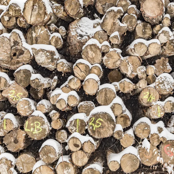 Pile de troncs en hiver avec des marques — Photo