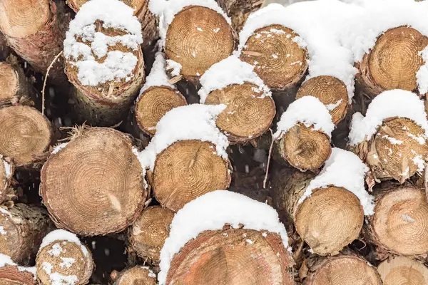 Mucchio di tronchi in inverno con segni — Foto Stock