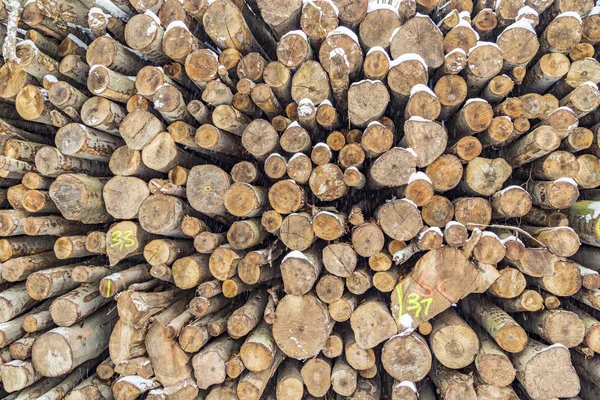 Pilha de troncos no inverno com marcas — Fotografia de Stock