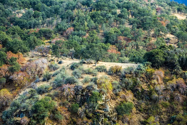 Vue sur la vallée dans le parc national de séquoia — Photo