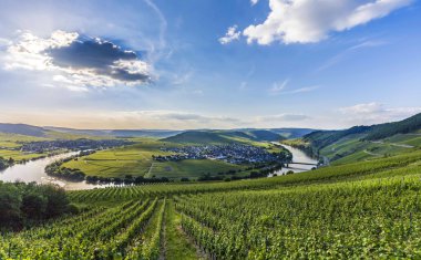ünlü Moselle Nehri Trittenheim döngüde 
