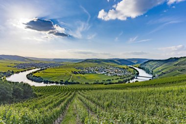 ünlü Moselle Nehri Trittenheim döngüde 