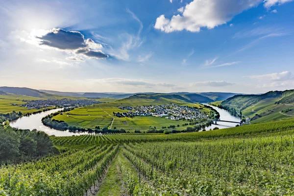 Híres Moselle folyó hurok Trittenheim — Stock Fotó