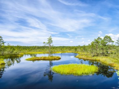 Tallinn yakınındaki göl manzara