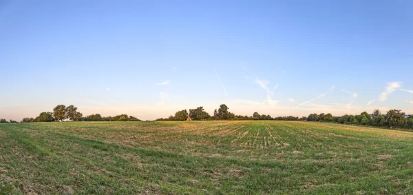 Sunrise at the meadow under blue sky — Stock Photo, Image