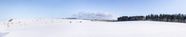 doğal kış panorama ağaçları ile