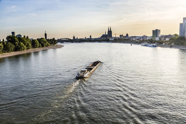 Skyline de Cologne avec le Rhin — Photo