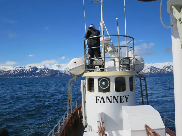 Husavik Iceland May 2015 Man Observation Tower Whale Watching Boat — Stock Photo, Image