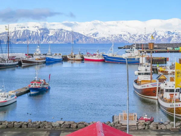 Husavik Islande Mai 2015 Port Avec Centre Observation Des Baleines — Photo