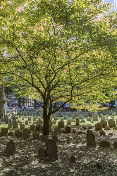 Boston Usa Sep 2017 Rader Gravstenar Ett Träd Vid Granary — Stockfoto