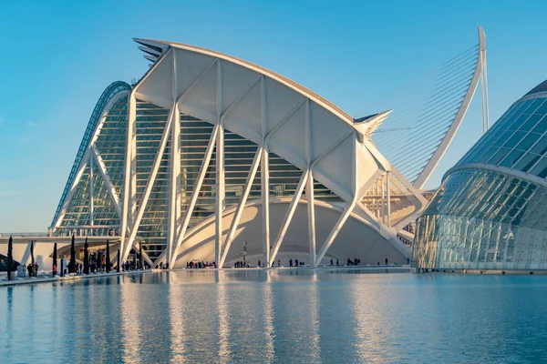 Valencia Spanya Ocak 2019 Museu Les Cincies Prncipe Felipe Principe — Stok fotoğraf