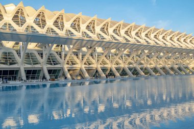 Valencia, İspanya - 4 Ocak 2019: Valencia 'nın bilim ve sanat şehrinde, Ciudad de las Artes y las Ciencias İspanya park kompleksi bir modern ve gelecekçi mimari binası. Yapı yapılarının sularında yansıma.